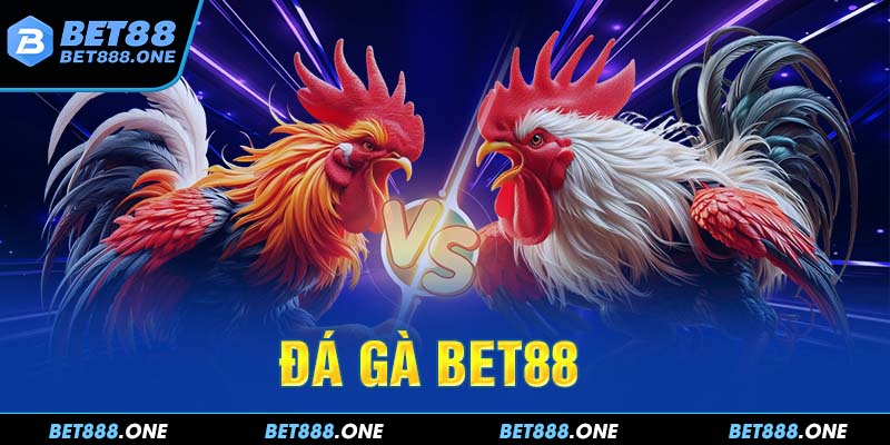 Sảnh Đá Gà BET88