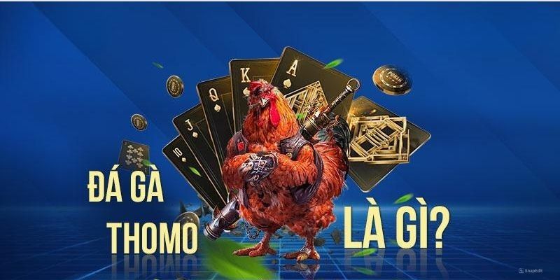 Đá gà trực tuyến Thomo tại hệ thống giải trí BET88