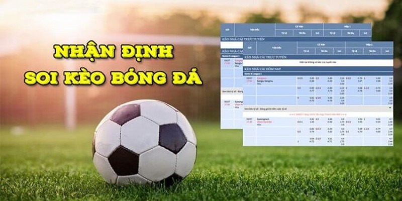 Nếu bạn biết cách đọc kèo và soi kỹ thì tỷ lệ ăn tiền cao hơn khi cược